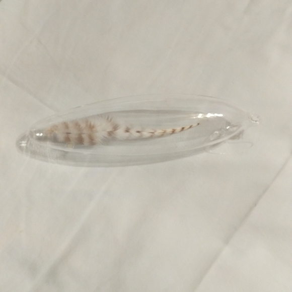 Roost feather in glass - Picture 1 of 4